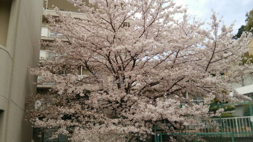 20160512185703